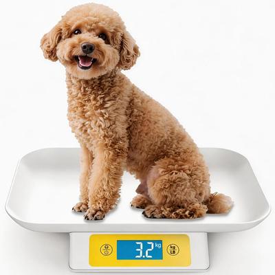 Digitale Haustierwaage, Elektronische Haustier-Gewichtswaage, 15 kg Kapazität | 1 g Genauigkeit, für Kleine Hunde/Katzen/Kaninchen und Andere Kleintiere, Gewichtsmanagement/Gr