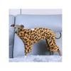 Leopard Pattern Fleece Coat, Cozy Winter Dog Jacket, Trendy Pet Fashion Wear,Thick Fleece Warm Jacket for Small Medium Breeds