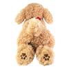 Hizawanko Toy Poedel Beige Pluche S P-3042