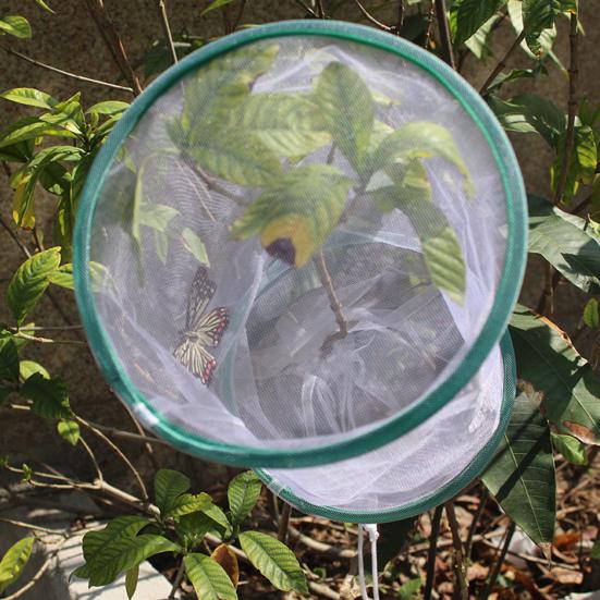Butterfly Experiment Cage Handheld Easy Storage Folding Breathable Transparent Feeding Portable Observation