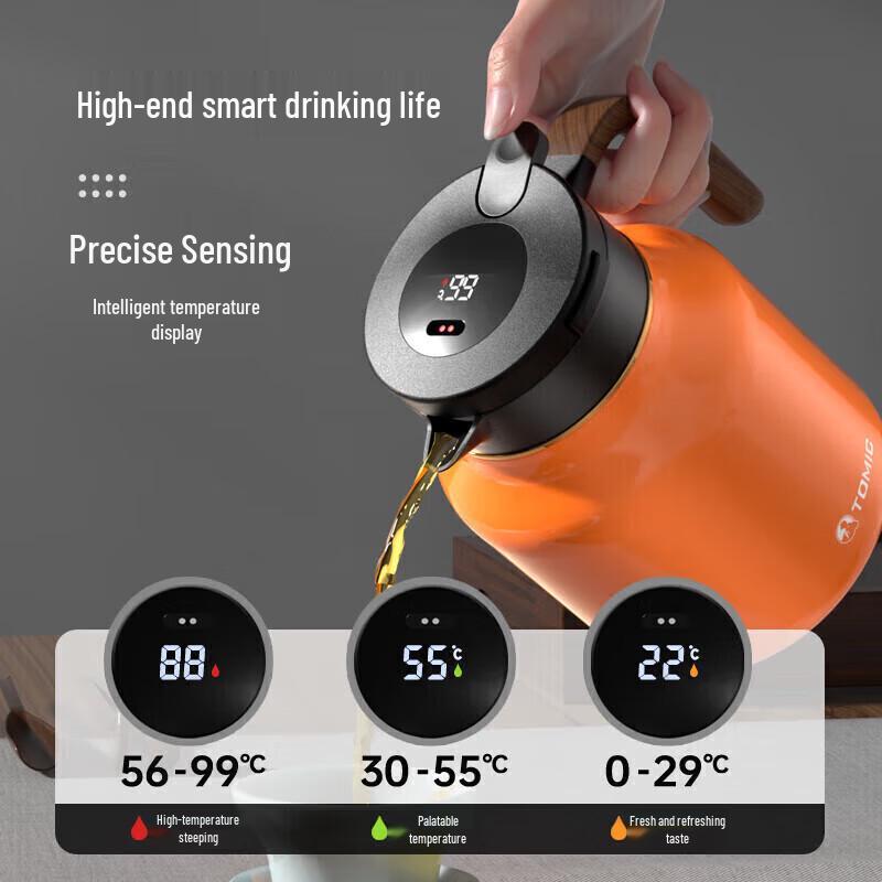Smart Insulated Tea Pot with Titanium Infuser & Ceramic Liner