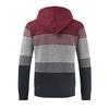 Mens Winter Cardigan Striped Zipper Hoodie Outwear Tops Sweater Blouse Coats
