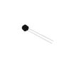 Camellia Black Rose Choker Necklace