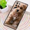 Cute Labrador Puppy Dog Phone Case for Samsung Galaxy note 10 pro S26 Ultra S23 S24 FE S25 S21 S22 PLUS shockproof Cove
