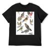 Lino Cut Garden Bird Collage T-Shirt Anime Luxury Designer Anime Shirt Clothes for Men