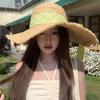 Summer French Breasted Raffia Straw Hat Women's Big Hat Brim Sun Protection Hat Beach Beach Bow Knit Hat
