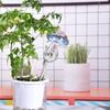 1/2PCS Glass Straw Automatic Plant Watering Bulbs Self Watering Mushroom Water Device Drip Irrigation System Home Garden Tools
