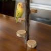 Parrots Grinding Scratchers Perch Pinecone Bird Stand Cage Toy Ladder Rack Toy Grinding Perch Supplies