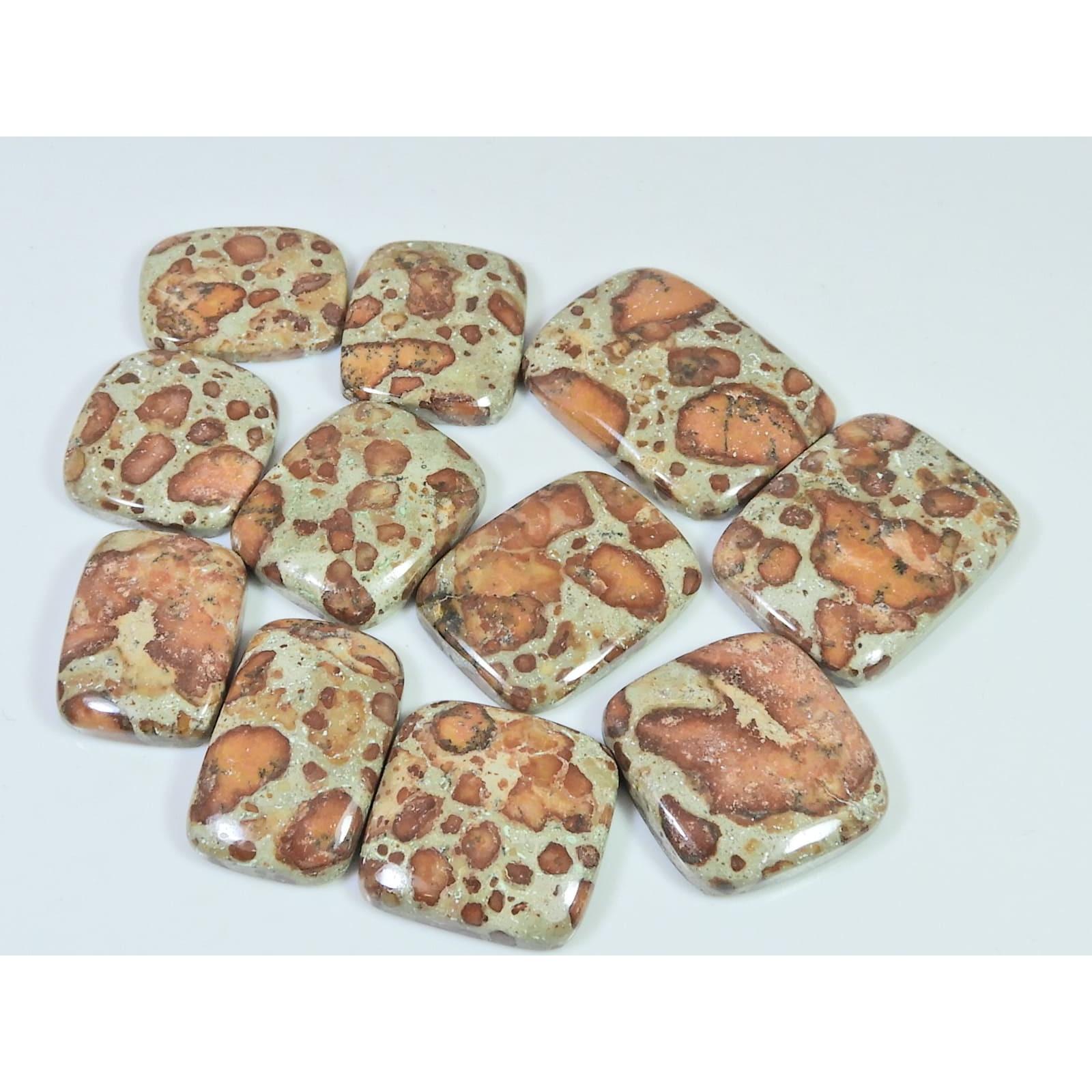 250Cts. Natural Asteroid Jasper Octagon Cabochon Loose Gemstone 11 Pcs Lot C-2447