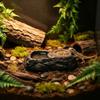 Anti-knock Reptile Food Bowl Imitation Stone Amphibians Water Bowl  Pet Habitat