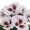 Artificial Pansy Flowers UV Resistant Fake Flowers Reusable Faux Pansy Flowers Bundle for Vase Garden Porch Patio Indoor Outdoor Home Decor