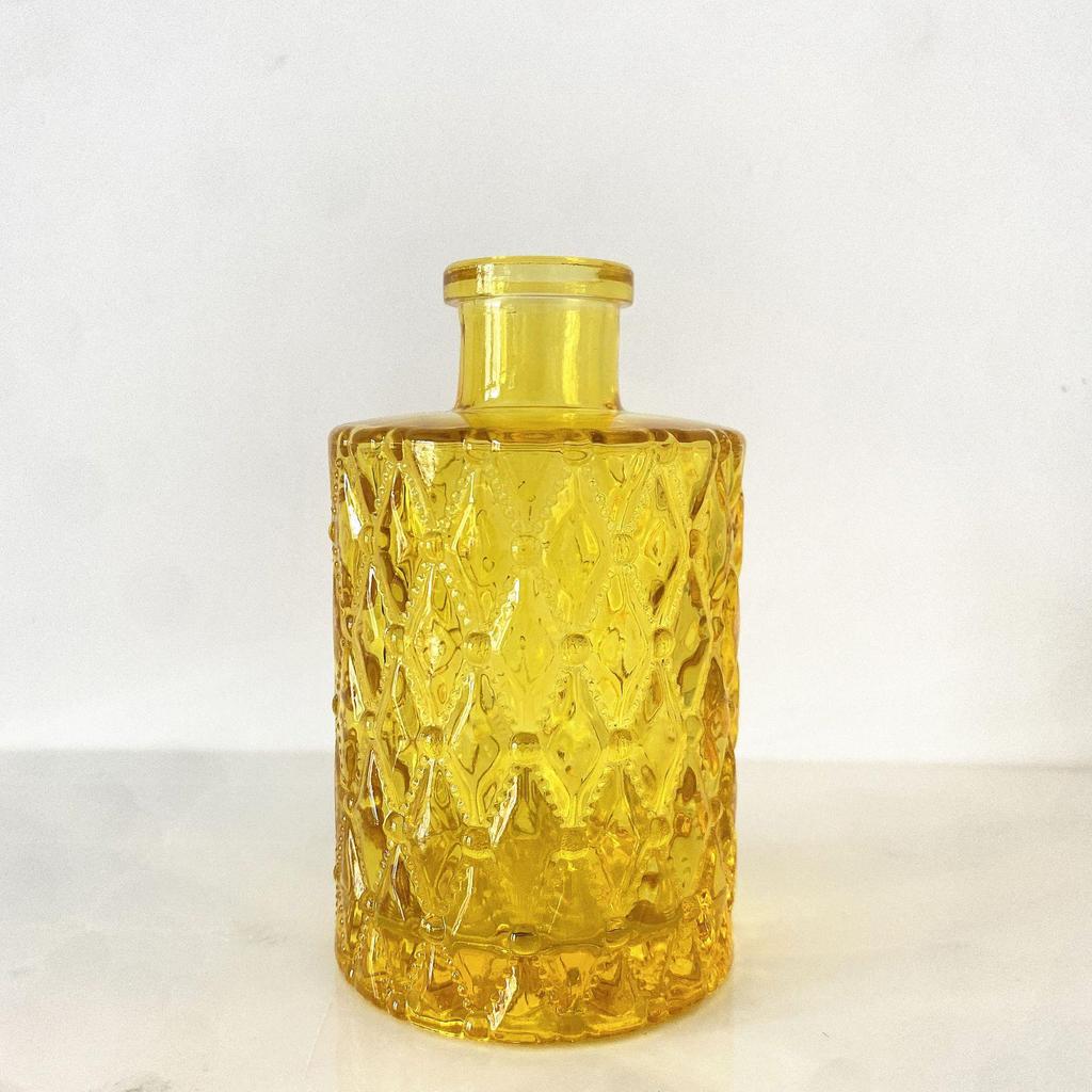 Small French Retro Glass Vase for Flowers and Hydroponics