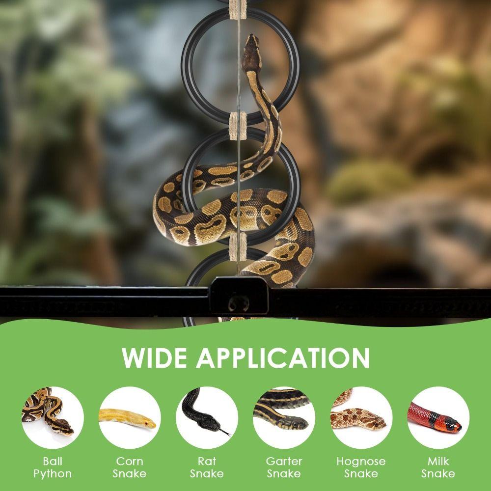 NEW Enrichment Toy Snake Climbing Rings Interactive Durable Reptile Pet Toys Easy To Clean Hoop Chain Toys Snake Cage