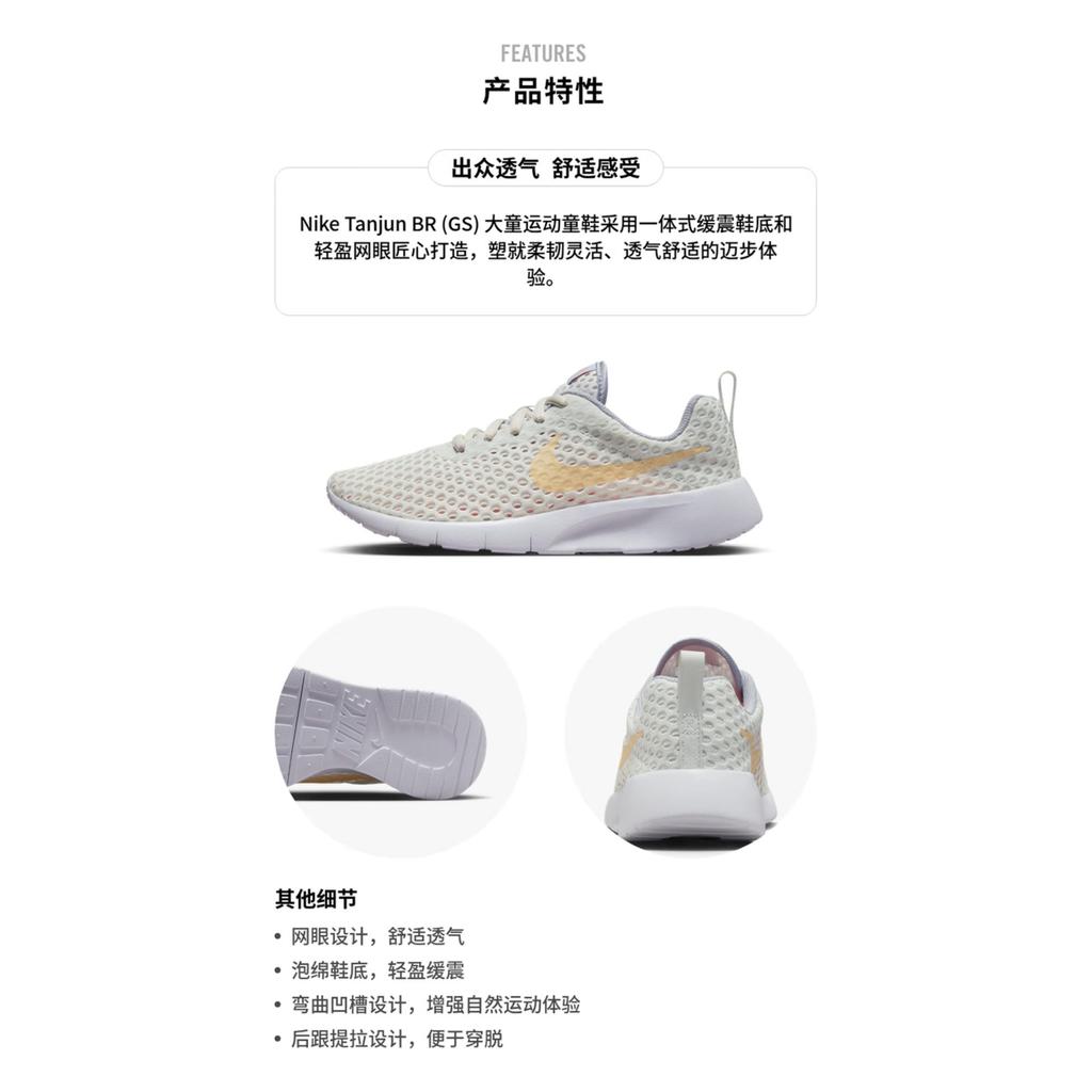 Nike Tanjun BR 'Light Grey Orange' GS AO9603-004