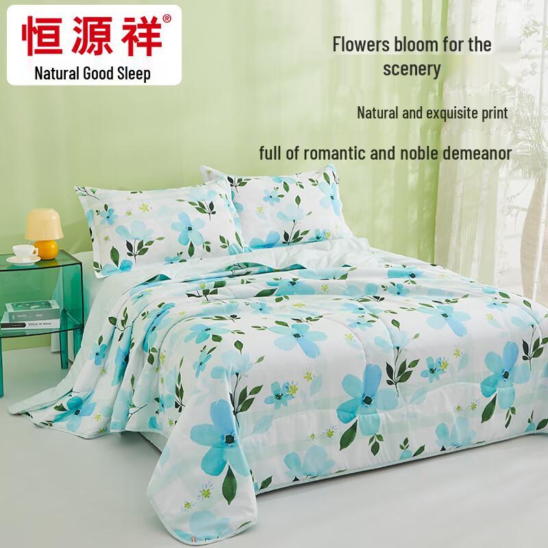 

Hengyuanxiang Washable Antibacterial Summer Quilt