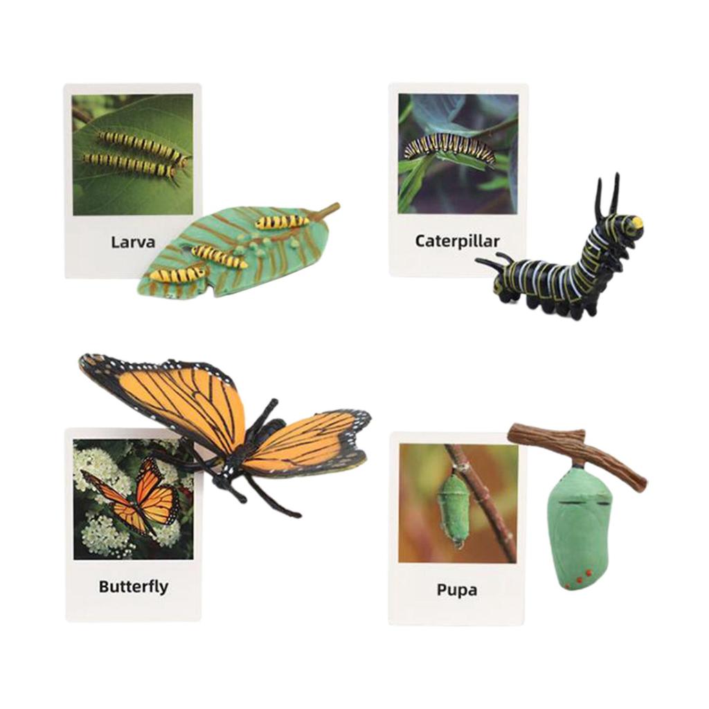 Animal Figurines Set for Biology Education And Party Gifts