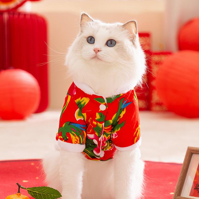 Cat clothes to keep warm in autumn and winter into cat kittens two-legged cotton-padded clothes Northeast large flower jacket Yorkshire dogpetclothing