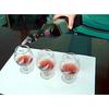 INIBUD Measuring Polar Pourer 30ml Whiskey Wine Cocktail Bottle 1 Ounce Set 4