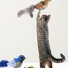 Interactive Cats Teaser Chirping Kittens Bird Toy Unpredicatable Chirping for Indoor Outdoor Play Accessories