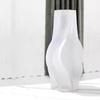 Vase Glass Vase Home Decoration Ornaments Flower Arrangement Flower Vase