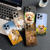 for Motorola Moto G82 G20 G22 G23 G32 G8 G7 G9 Power Plus G41 G30 G71 E22 E13 E20 E32 Phone Case Golden Retriever Dog Corgi