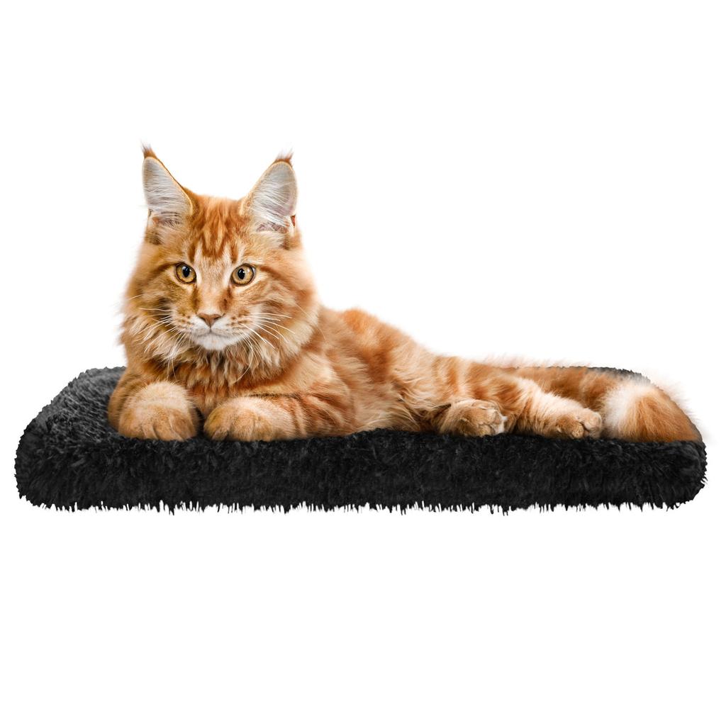 Shawny Brüstungsmatratze für Katze