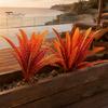 Decorative Branches for Terraces Artificial Fall Fern Plants, 18 Heads Autumn Orange Fake Persian Marine Theme Landscape Decorations Greenery Bushes,
