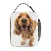 Saggezza della Coda che Scodinzola_ Coltivare lo Spirito del Tuo Cocker Spaniel Borsa Pranzo Termica per Donne Bambini Contenitori per Cibo Pranzo Termico