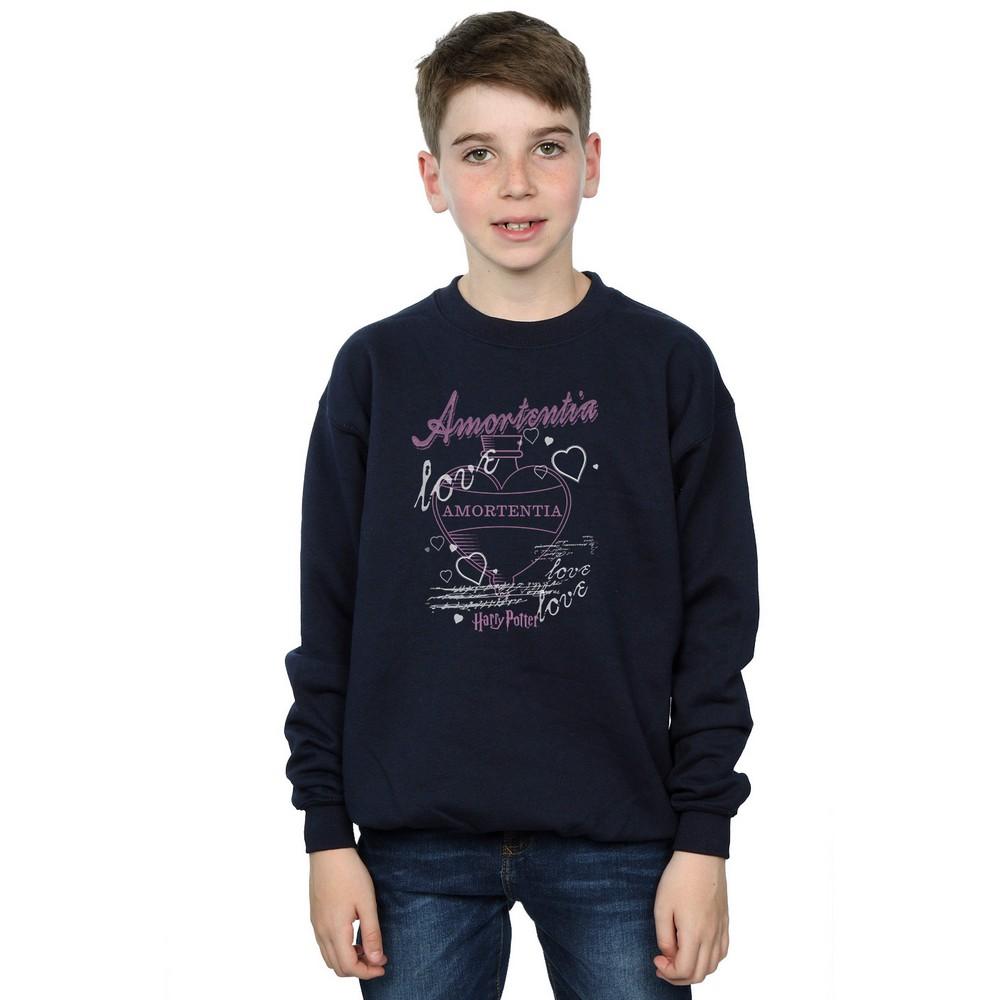 Harry Potter Boys Amortentia Potion Sweatshirt