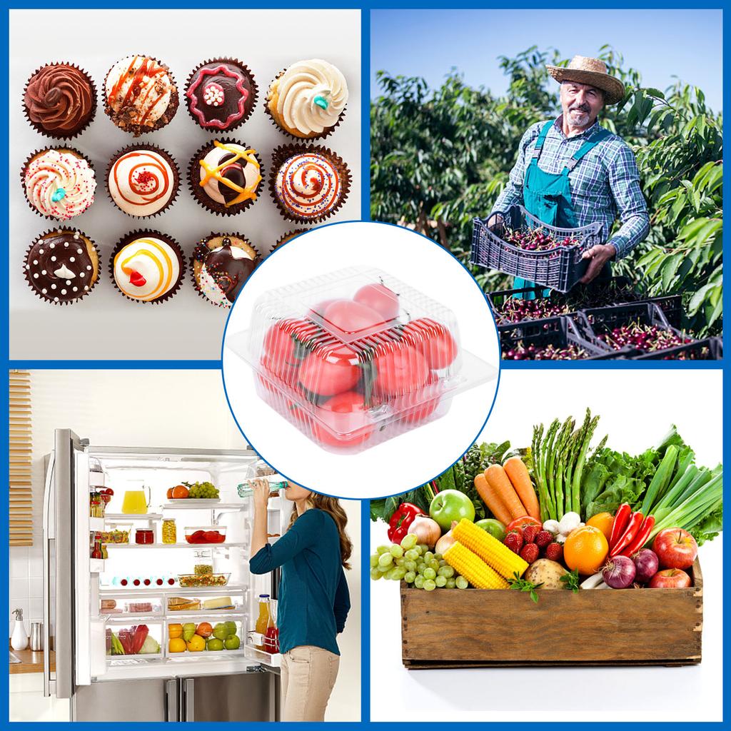 Clamshell Take Out Tray Plastic Hinged Food Containers Disposable Takeout Box