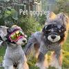 Giyim ve ayakkabı – Köpek Aksesuarları