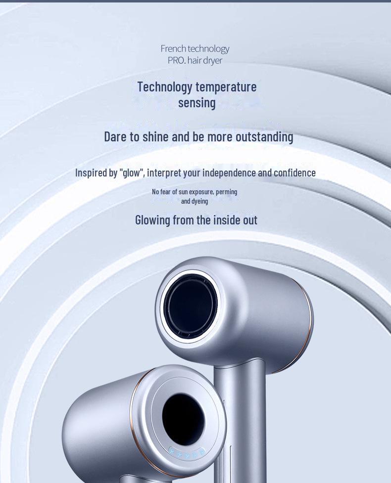 Shunrui High-Speed Ionic Hair Dryer with Intelligent Temperature Control