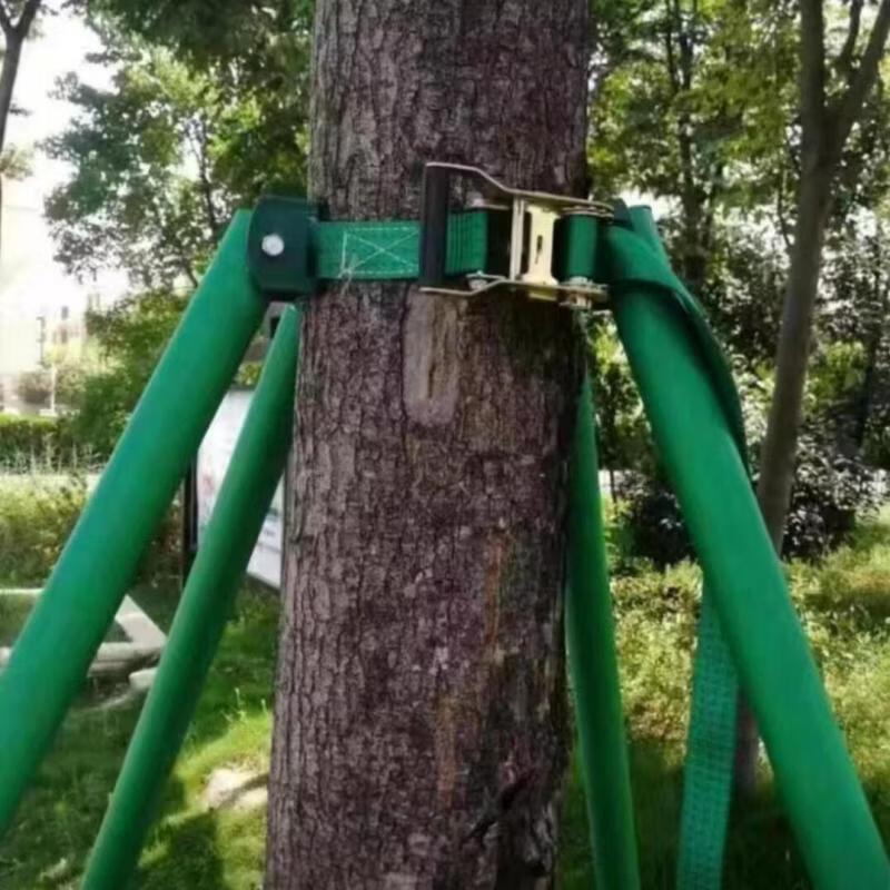 Aokewen Galvanized Steel Tree Support System