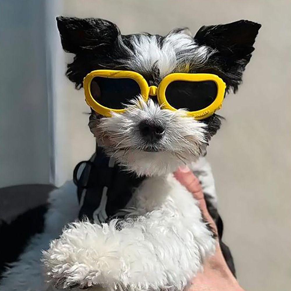 Adjustable Pet Goggles UV Protection Dog Motorcycle Glasses Portable Pet Headwear  Cat Dog