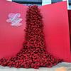 Rose Waterfall Wall - Wedding Scene Decor with Artificial Rose Flowers
