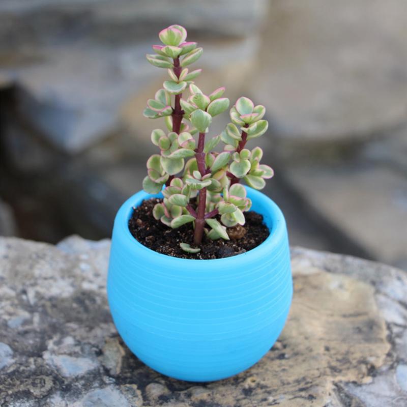 6 Packages Of Succulent Flower Pots Mini Stone Ball Pots Multi-Color Optional Thickened Resin Plastic Pots