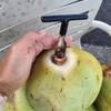 Coconut Opener, Stainless Steel Coconut Knife Tool for Easy To Open Thai Hawaii Young Coconuts