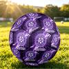 Personalized Size 5 Football Austria Wien FC Pattern Outdoor Game Sports Ball Gift