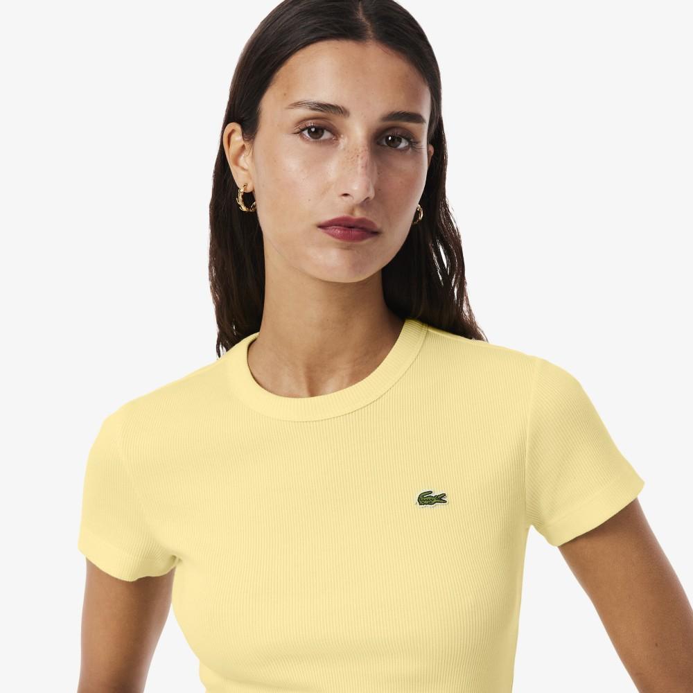[Lacoste] Women's Slim Fit Ribbed Short-Sleeve T-shirt TF5538-56G107