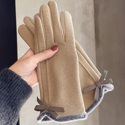 Winter Women Can Touch Screen Add Velvet Thick Cold and Warm Gentle and All-matching High-end Gloves