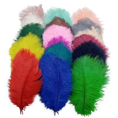 10Pcs Colorful Ostrich Feathers for Crafts Jewelry Making Wedding Party Decoration Plumes Handwork Carnival Accessories 20-25cm