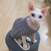 Warmer Gestrickter Sphynx Katze Pullover Winter Haustierkleidung für Katzen mascotas Kleidung Katten Kedi Kätzchen Welpe Pullover ropa para gatos