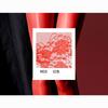 Women's Rose Flower Lace Stocking Set - Lustrous Silk Smooth Knee-Length Stockings Base socks