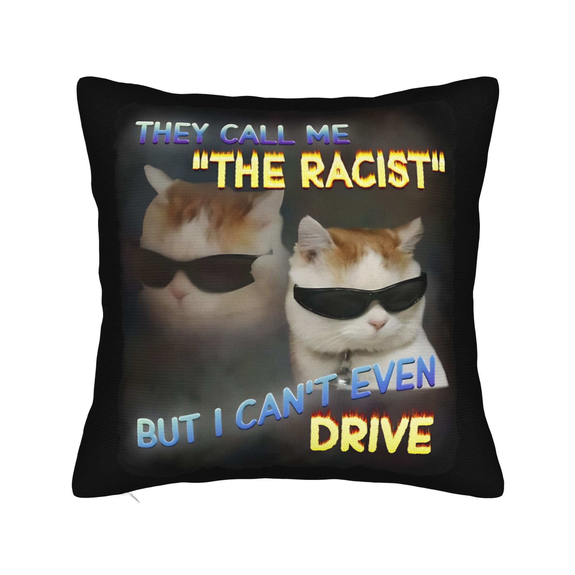 

Yas Queen Slay Funny Cat Meme Pillowcases Merch Printing Cushion Cover Throw Pillow Cover Sofa Decoration Square Multi Size 12x12in 30X30cm