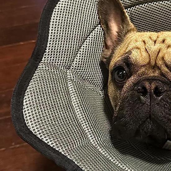 Yumuşak Köpek Tasması Yaka Ameliyat Sonrası İyileşme Tasması Ayarlanabilir Koruyucu Evcil Hayvan Tasması Önle