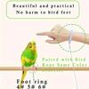 Moderne Vogel-Freilassleine für tägliche Outdoor-Aktivitäten mit Fußring und Karabinerhaken Langlebige Vogelleine für geliebte Vögel