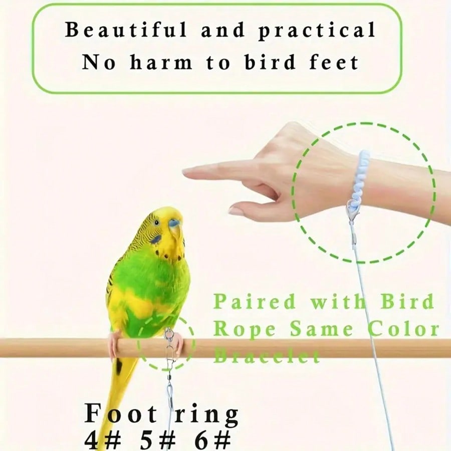 Moderne Vogel-Freilassleine für tägliche Outdoor-Aktivitäten mit Fußring und Karabinerhaken Langlebige Vogelleine für geliebte Vögel