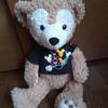 [USED] Antique Tokyo DisneySea30 Teddy Bear