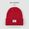 Autumn and Winter Knitted Hat Niche Personality Fashion Melon Rind Wool Hat Warm Protection Amount Simple Letter Cloth Label Cold Hat