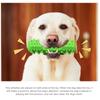 1 Pcs Dog Molar Toothbrush Toys Chew Cleaning Teeth Puppy Dental Care Extra-tough Pet Cleaning Toy Supplies
